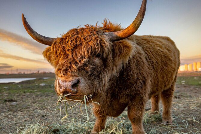 West Coast Lochs & Castles Tour - from Glasgow - An In-Depth Look at the Tour Experience