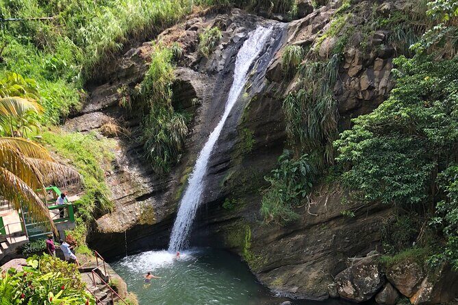 West Coast: Rum Distillery, Concord waterfall, Nutmeg processing - Good To Know