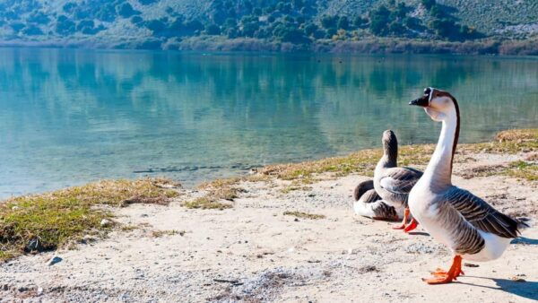 WEST CRETE:CHANIA-KOURNAS-RETHIMNO - Recommended Activities