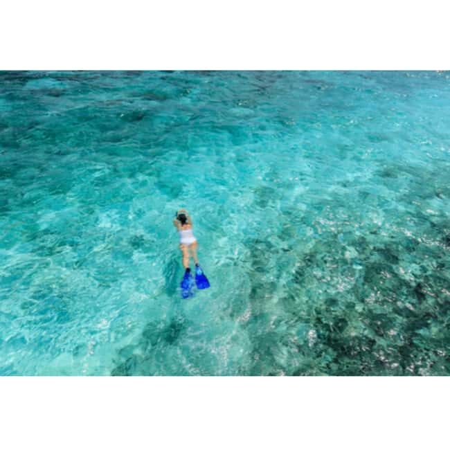 West End Bahamas: Guided Snorkeling Tour - Why This Tour Offers Great Value