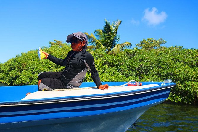 West End or West Bay to Pigeon Cay - Choosing Between West End and West Bay