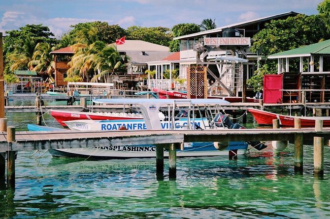 West End Tour (Choco Factory Rum Company Art Gallery Rusty Fish and More) - Tour Highlights