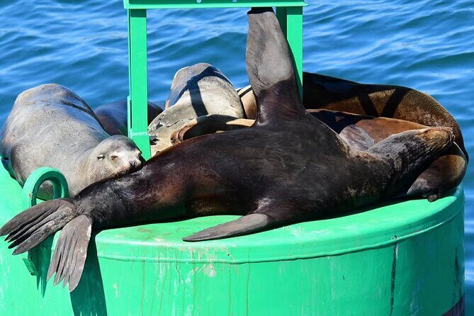 West Harbor LA 45-Minute Narrated Harbor Cruise of San Pedro - FAQ