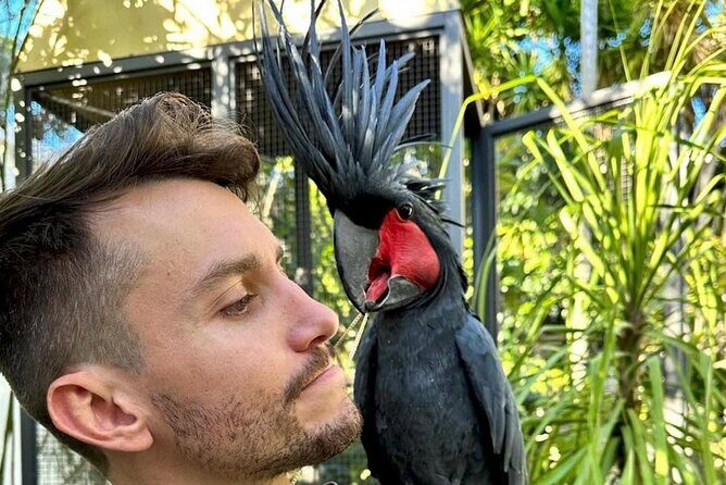 West Hollywood Emerald Village Cannabis Lounge Walking Tour - What’s Included and Not Included