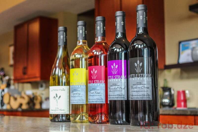 West Kelowna: Afternoon Sightseeing and Wine Tour - An In-Depth Look at the Tour Experience