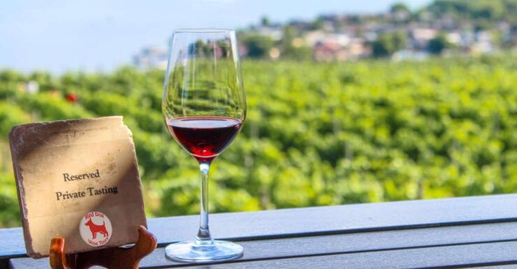 West Kelowna: Afternoon Sightseeing and Wine Tour - Tour Booking Details
