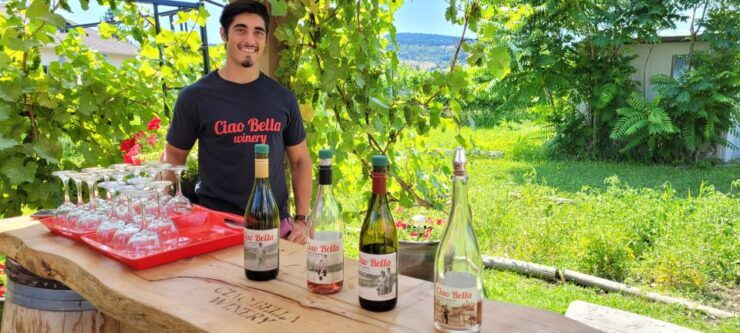 West Kelowna: Afternoon Sightseeing and Wine Tour - Tour Experience Overview