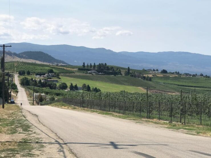 West Kelowna Afternoon Tour - Wineries Included