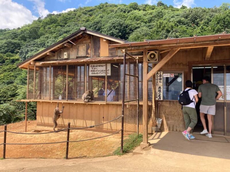 West Kyoto & Arashiyama: In-Depth 1-Day Cultural Tour - The Showstopper: Kinkakuji Temple and Extra Touches