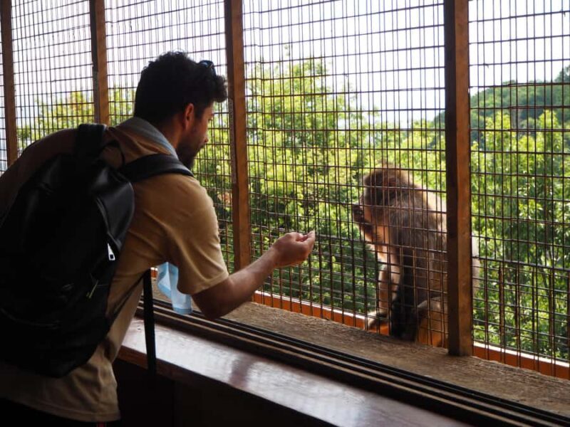 West Kyoto & Arashiyama: In-Depth 1-Day Cultural Tour - Overview of the Tour Experience