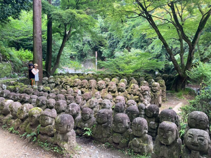 West Kyoto & Arashiyama: In-Depth 1-Day Cultural Tour - Pricing & Value