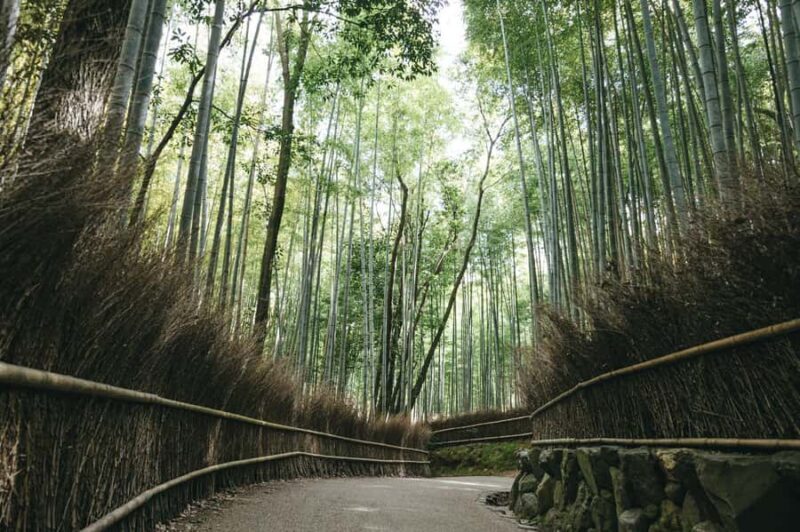 West Kyoto & Arashiyama: In-Depth 1-Day Cultural Tour - Review Highlights from Travelers