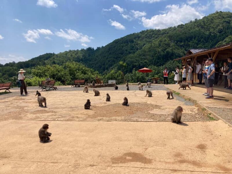 West Kyoto & Arashiyama: In-Depth 1-Day Cultural Tour - FAQ