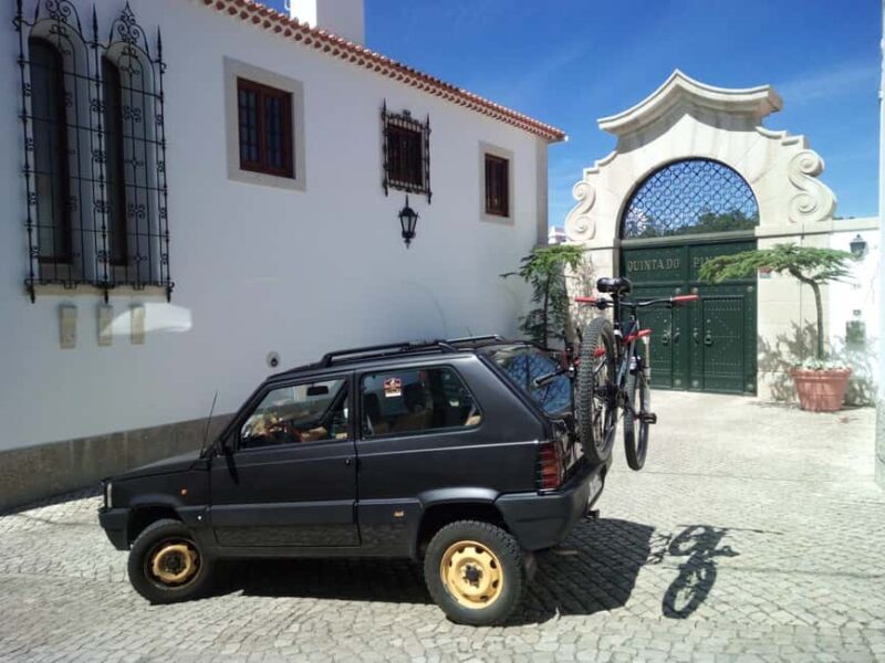 West Lisbon Grand Tour: Sintra-Cascais-Mafra Nat-Park-Fun - Who Will Love This Tour?