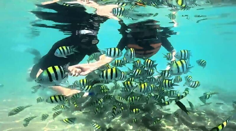 West Lombok: Gili Nanggu, Gili Sudak and Gili Kedis - The Itinerary Breakdown: What to Expect