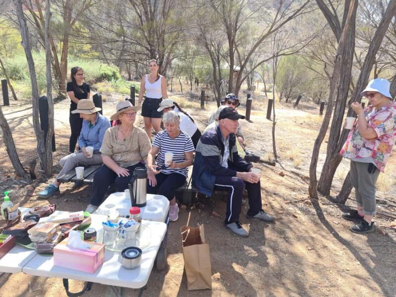 West MacDonnell Ranges Full Day - Small Group Tour - Discovering the Outback: What to Expect from the Tour