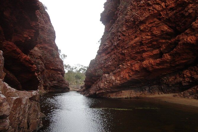 West MacDonnell Ranges Half-Day Private Charter Guided Tour - The Sum Up