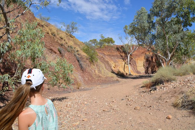 West MacDonnell Ranges Small-Group Full-Day Guided Tour - Additional Information
