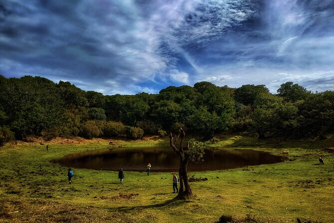 West Madeira Island Guided Tour & Fanal Mystic Forest - Tour Highlights