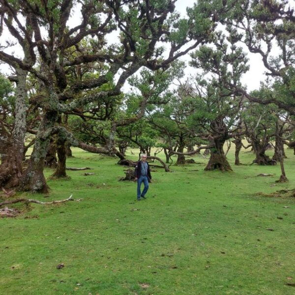 West Madeira:, Laurel Forest, Waterfall, Rock Pools, Walk - Frequently Asked Questions