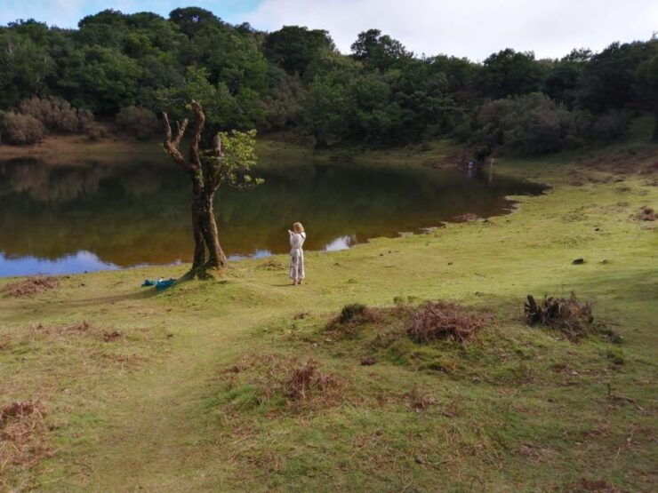West Madeira:, Laurel Forest, Waterfall, Rock Pools, Walk - Activity Duration and Cancellation Policy