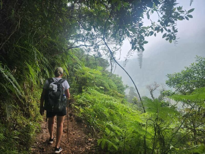 West Manggarai: Waerebo Traditional Village 2-Day Road Trip - The Itinerary in Depth  