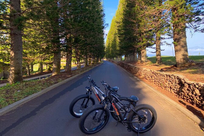 West Maui Electric Bike Rentals - Inclusions