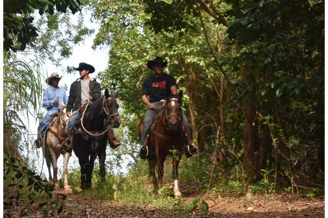 West Maui Mountain Waterfall and Ocean Tour via Horseback - Overview and Inclusions