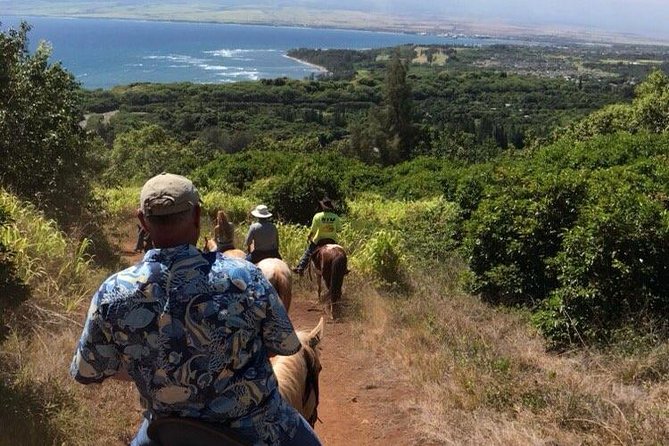 West Maui Mountain Waterfall and Ocean Tour via Horseback - What to Expect on the Tour