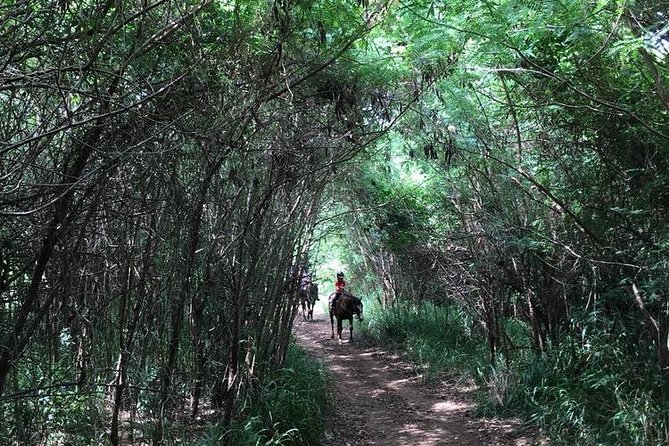 West Maui Mountain Waterfall and Ocean Tour via Horseback - Views and Scenery on the Tour