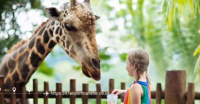 West Midland Safari Park Adventure: a Day With Wildlife - Prehistoric Encounters