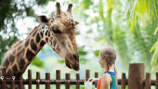 West Midland Safari Park Adventure: a Day With Wildlife - Frequently Asked Questions