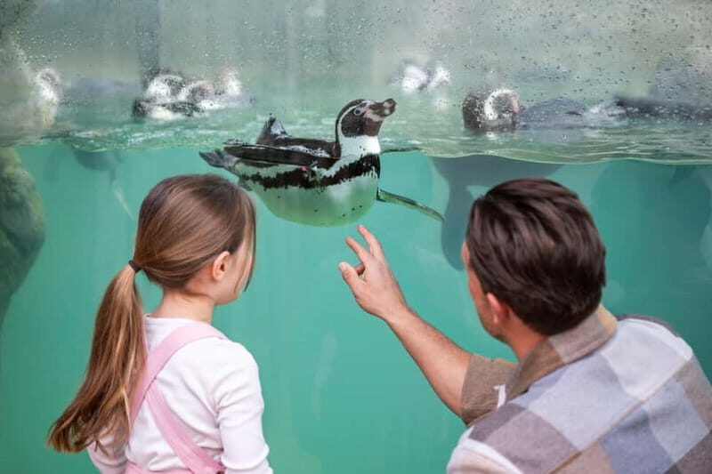 West Midlands Safari Park: Day Admission Ticket - West Midlands Safari Park: Day Admission Ticket – An Authentic Wildlife Adventure