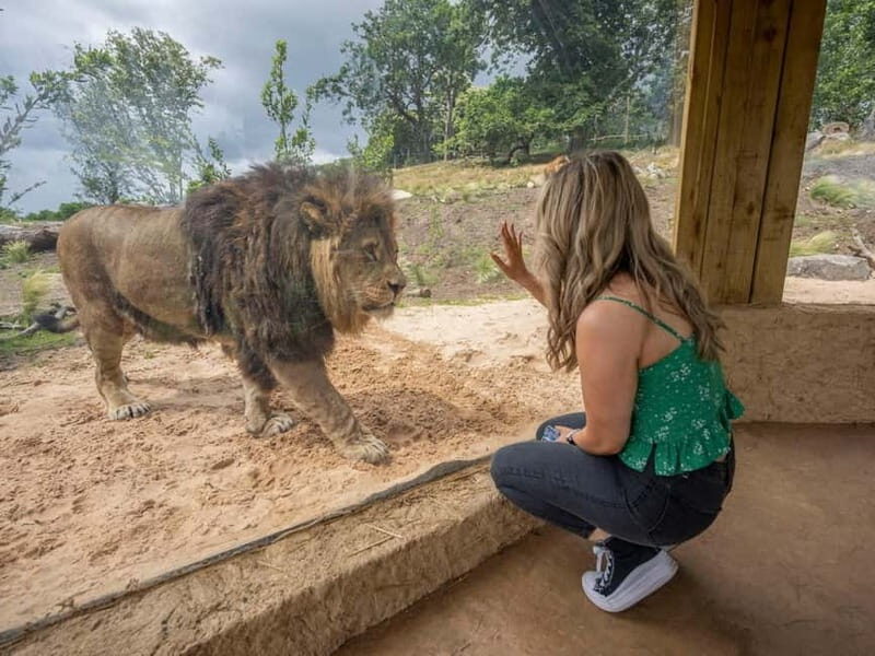 West Midlands Safari Park: Day Admission Ticket - Practical Details: Price, Timing, and Access