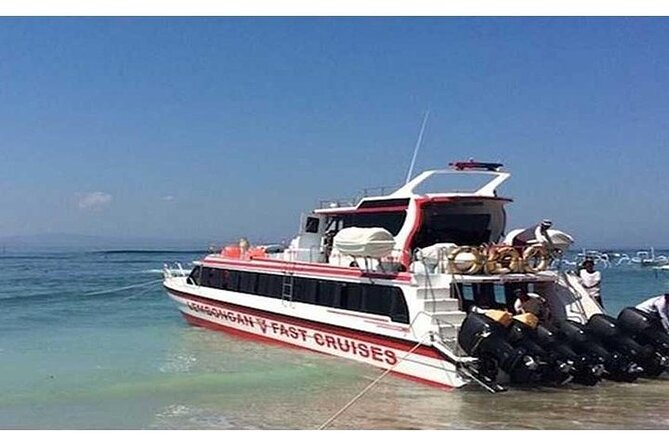 West Nusa Penida Full-Day Private Tour - Tour Highlights