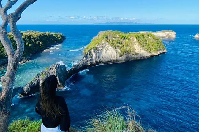 West Nusa Penida Island Tours From Lembongan - Review