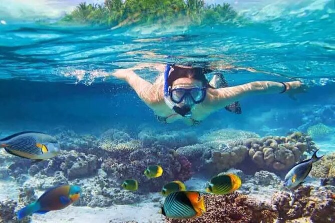 West Nusa Penida Trip With Snorkeling at 3 Spot With Free Meals - Good To Know