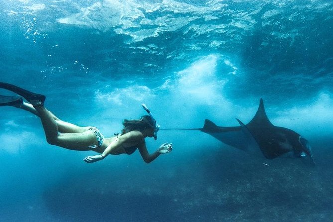 West Nusa Penida Trip With Snorkeling at 3 Spot With Free Meals - Special Offer Details