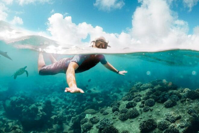 West Oahu Hawaiian Green Sea Turtle, Dolphin, & Snorkel Tour - Customer Experiences