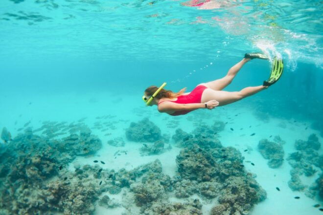West Oahu Hawaiian Green Sea Turtle, Dolphin, & Snorkel Tour - Additional Information