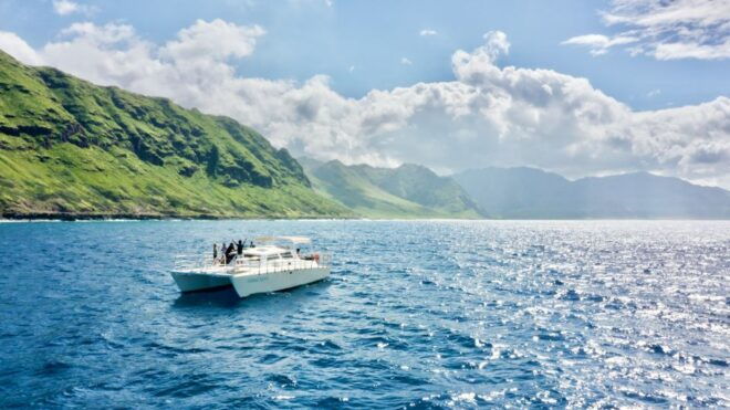 West O'ahu: Swim With Dolphins Catamaran Cruise - Customer Reviews