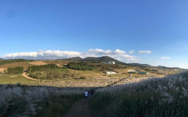 West of Jeju Island Bus Tour From Seogwipo City, Jeju Island - Booking and Cancellation Policy