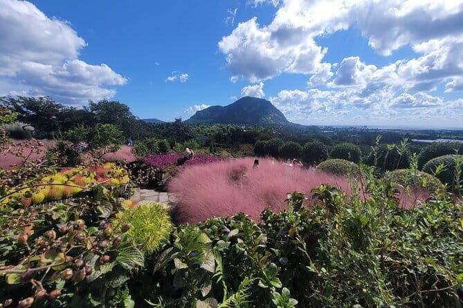 West of jeju private Jumbo taxi tour with Mr.KO (Suhong) - What to Expect from the West of Jeju Private Jumbo Taxi Tour