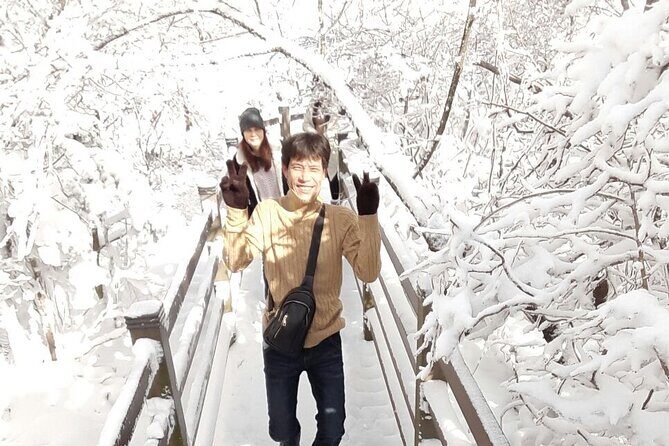 West of jeju tour for Seogwipo Gangjeong Cruise Customers - Relaxing at Osulloc Tea Museum  