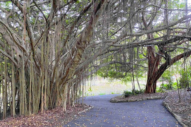 West of Noosa Private Tour: Lunch, Ginger Factory, Eumundi Market - Pricing and Group Size