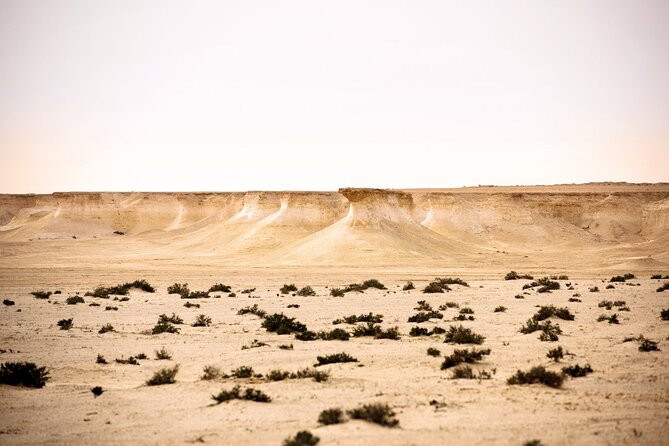 West of Qatar Tour Richard Serra Mushroom Rock Formation - Overview of the West of Qatar Tour