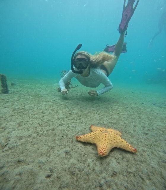 West Palm Beach: Private Peanut Island Boat & Snorkel Tour - Connect Your Phone to the Stereo and Enjoy Your Playlist