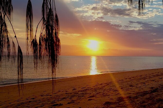 West Point 4WD Sunset Bus Tour - Pricing and Value