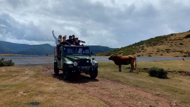 West Safari - The natural pool Porto Moniz Open Roof Jeeps - Good To Know