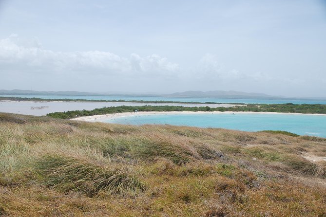 West Side Experience Puerto Rico Day Tour - Traveler Photos, Reviews, and Tour Inclusions